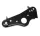Villafej